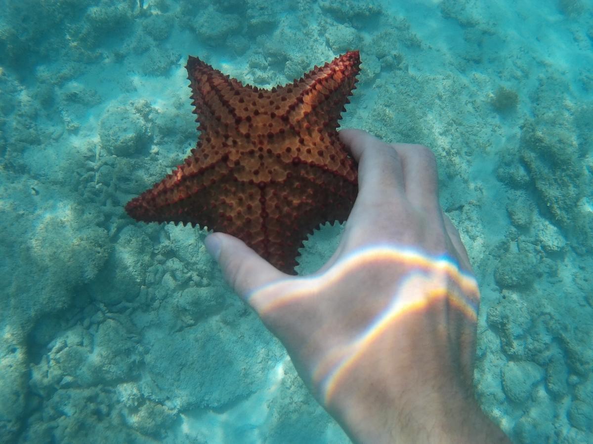 Hotel Pedernales Italia Republica Dominicana 外观 照片